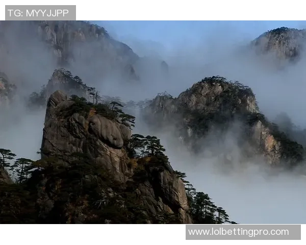 黄山姚明亮：探寻山水之间的文化底蕴与自然奇观